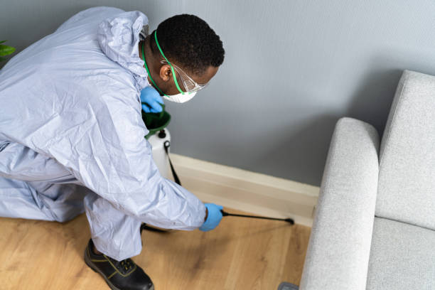 Best Termite Inspection and Treatment  in Esparto, CA